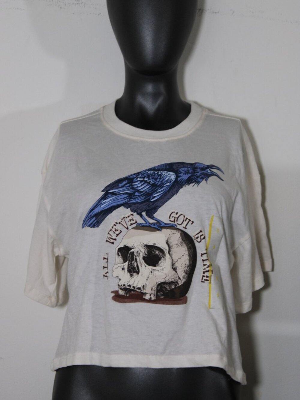Raven & Skull Graphic Cropped Tee
